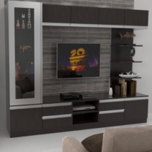 TV Unit 